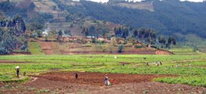 impact investing 1