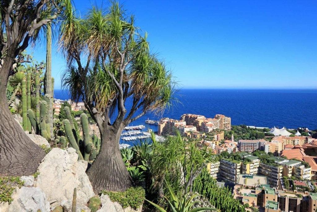 Vibrant coastal cityscape with lush green plants and blue sea in the background.