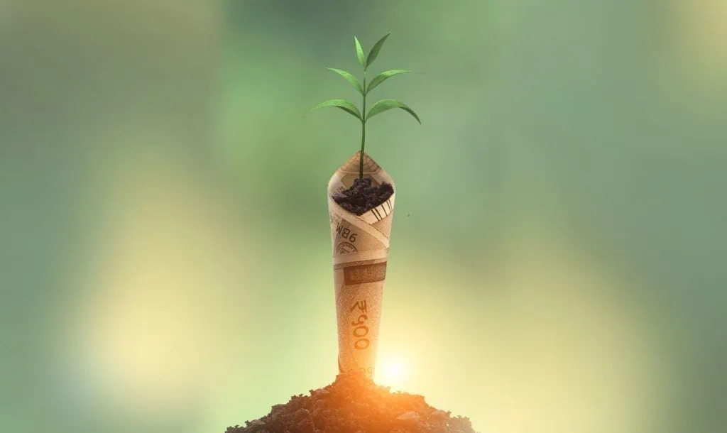 Young plant growing from a rolled Euro banknote in soil, symbolising eco-friendly investment.