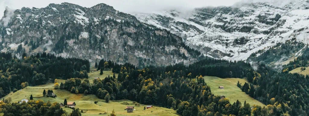 Investment solutions with global reach and Swiss precision