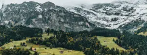 Why Is Diversification One of the Most Relevant Investment Strategies Today?